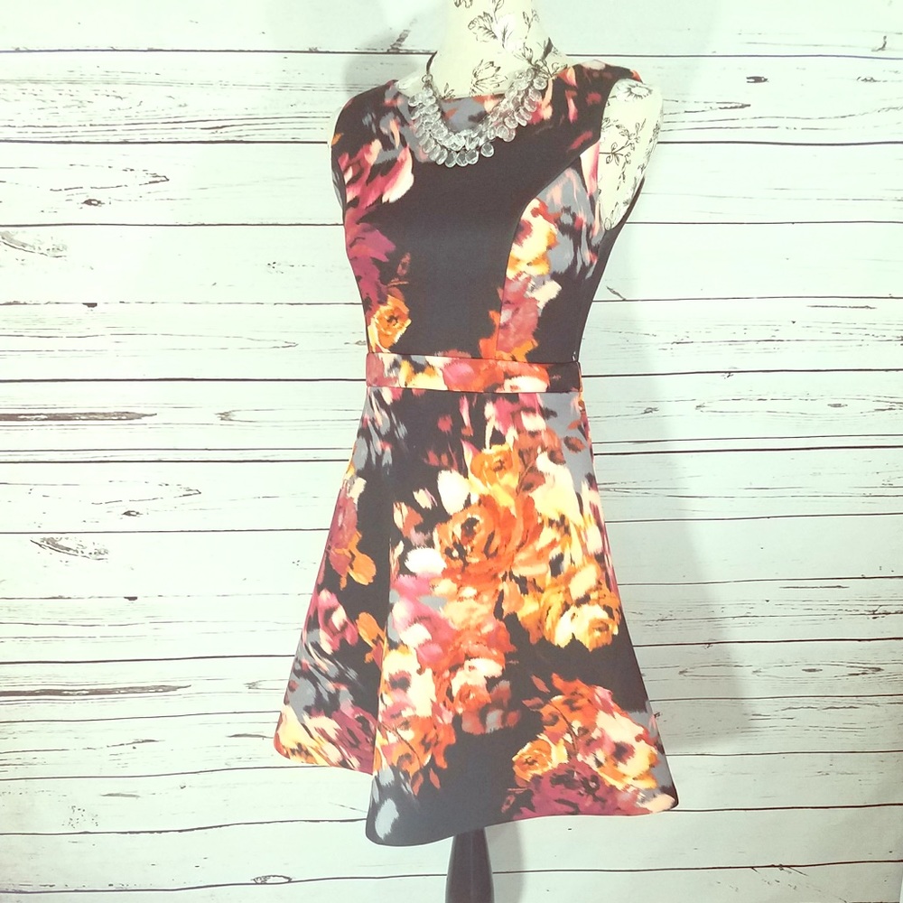 Fit & flare versatile size 4 - 6 perfect condition